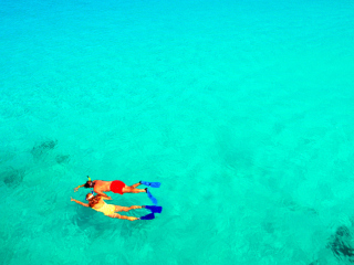 Screenshot №1 pro téma Snorkeling 320x240