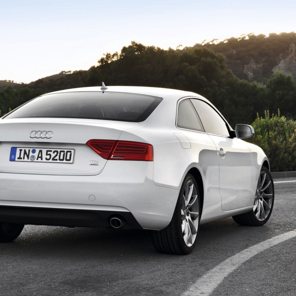 Das Audi A5 Coupe Rear View Wallpaper 1024x1024