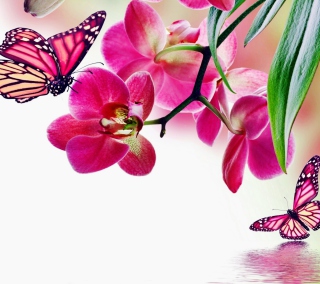 Tropical Butterflies - Obrázkek zdarma pro iPad mini 2