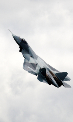 Fondo de pantalla Amazing Russian Fighter Jet 240x400