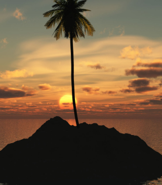 Palm Island - Obrázkek zdarma pro 320x480