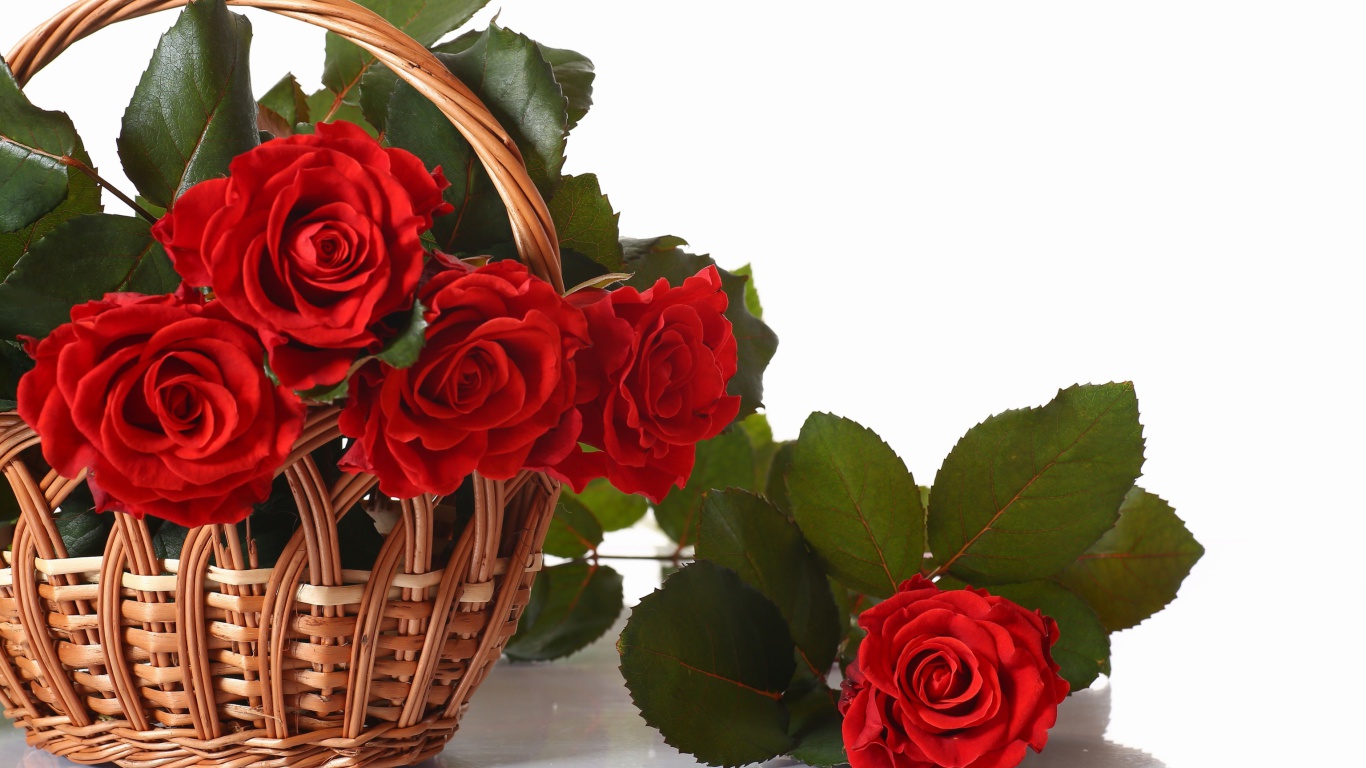 Sfondi Basket with Roses 1366x768
