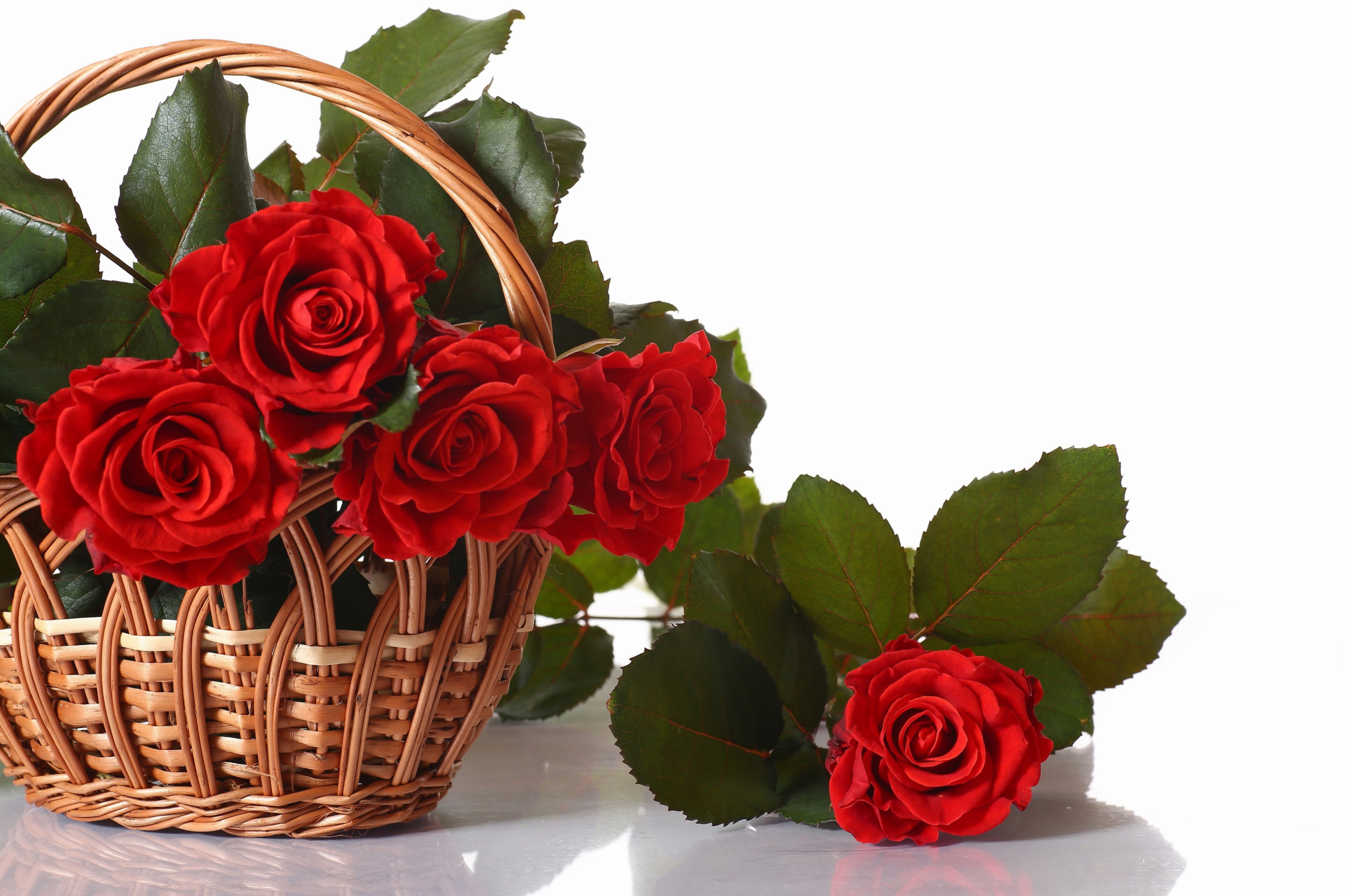 Обои Basket with Roses 2880x1920