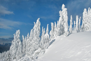 Wintertime - Obrázkek zdarma pro HTC Hero