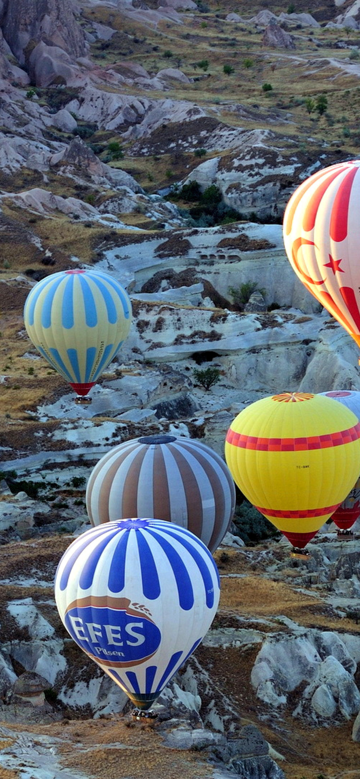 Fondo de pantalla Hot air ballooning Cappadocia 1170x2532