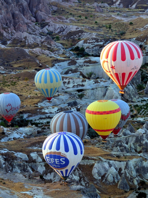 Sfondi Hot air ballooning Cappadocia 480x640