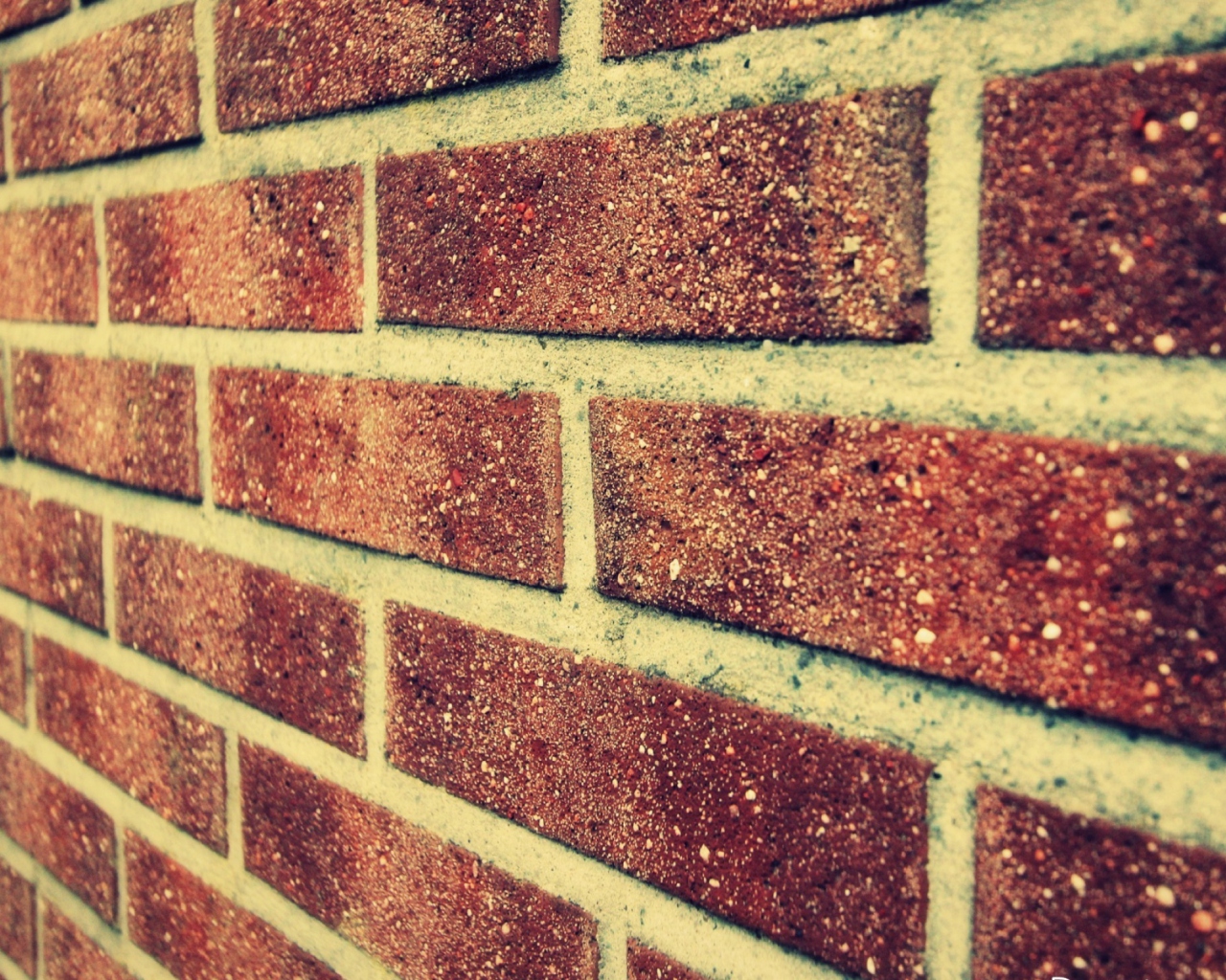 Fondo de pantalla Brick Wall 1280x1024