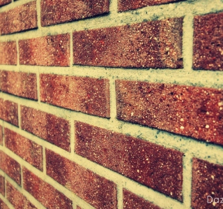 Brick Wall - Obrázkek zdarma pro 208x208