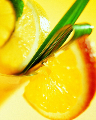 Cocktail with Orange Slice - Obrázkek zdarma pro Nokia X2-02