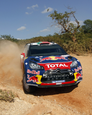 Sebastien Loeb - Citroen WRC - Obrázkek zdarma pro iPhone 6 Plus