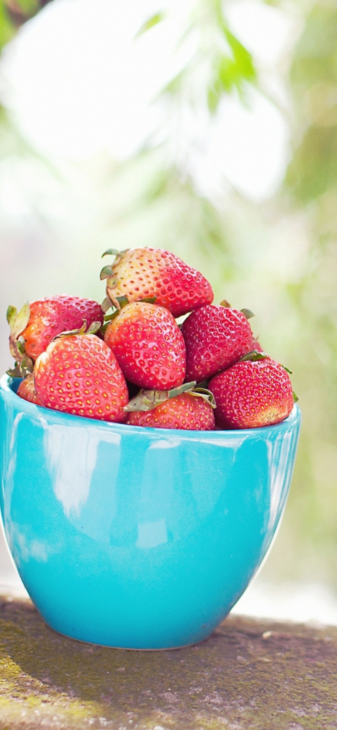 Screenshot №1 pro téma Strawberries In Blue Cup 1170x2532