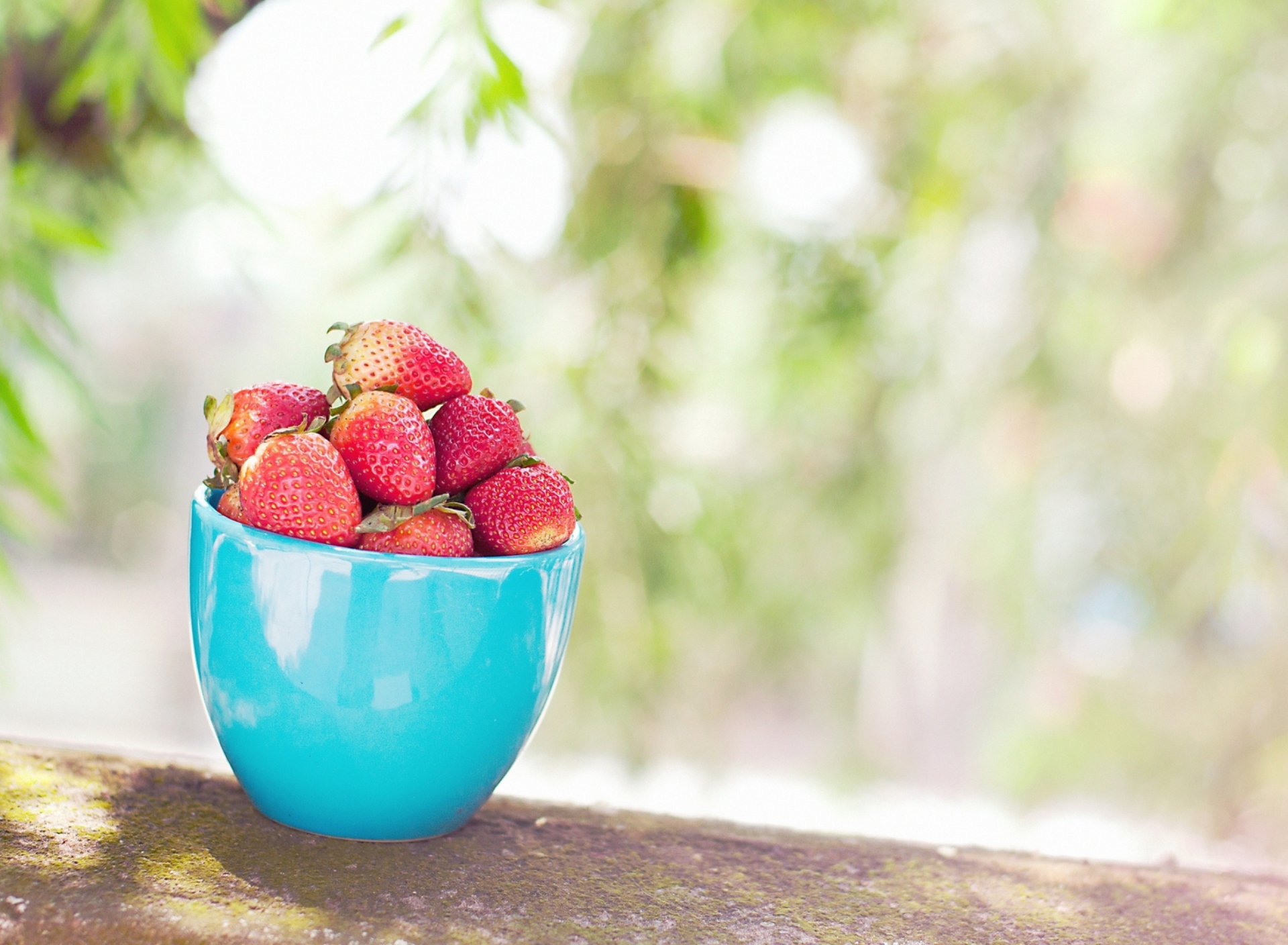 Screenshot №1 pro téma Strawberries In Blue Cup 1920x1408