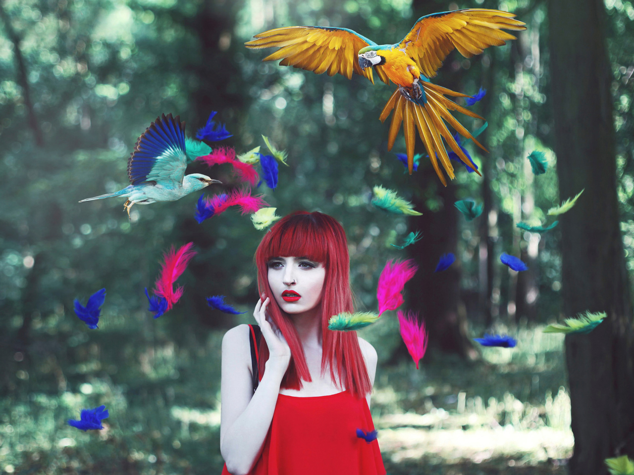 Girl, Birds And Feathers wallpaper 1280x960