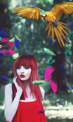 Girl, Birds And Feathers screenshot #1 240x400