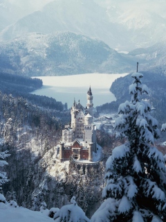 Screenshot №1 pro téma Neuschwanstein Castle in Bavaria Germany 240x320