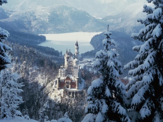 Screenshot №1 pro téma Neuschwanstein Castle in Bavaria Germany 320x240