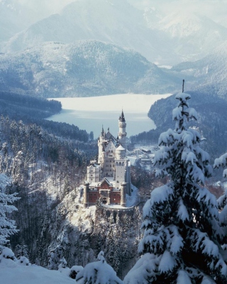 Neuschwanstein Castle in Bavaria Germany - Obrázkek zdarma pro 240x320
