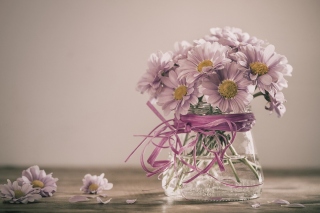 Floral greeting - Obrázkek zdarma 