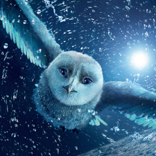 Legend Of The Guardians The Owls Of Ga Hoole - Obrázkek zdarma pro iPad 3