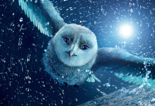 Legend Of The Guardians The Owls Of Ga Hoole - Obrázkek zdarma pro Samsung Galaxy Note 2 N7100