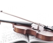 Violin and sheet music wallpaper 176x144
