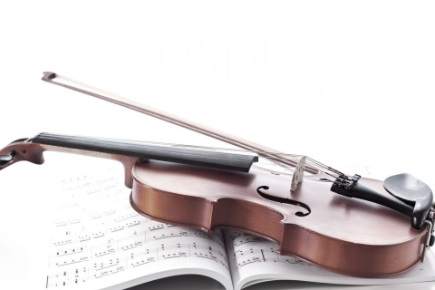 Screenshot №1 pro téma Violin and sheet music 480x320