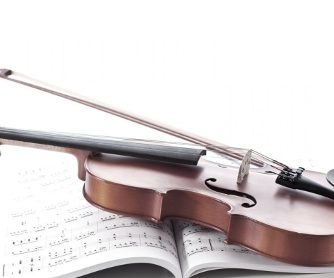 Обои Violin and sheet music 480x400