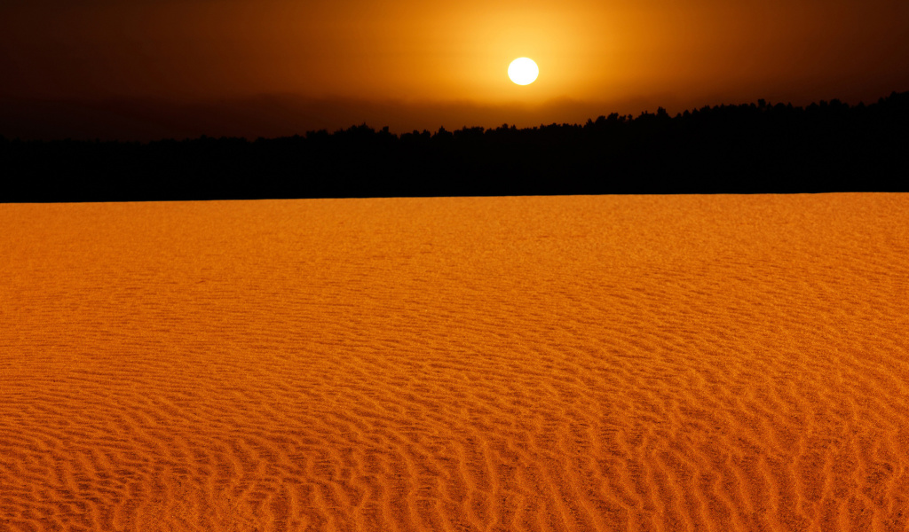 Fondo de pantalla Sand Dunes 1024x600