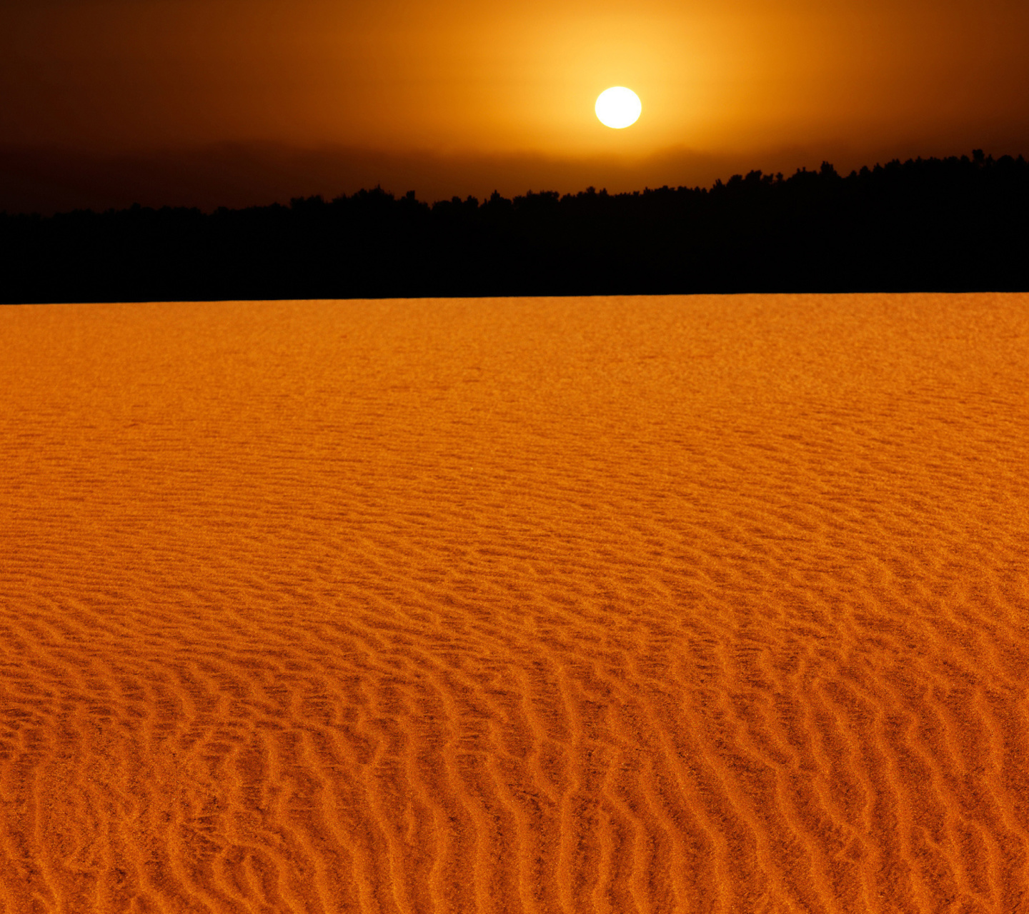 Das Sand Dunes Wallpaper 1440x1280
