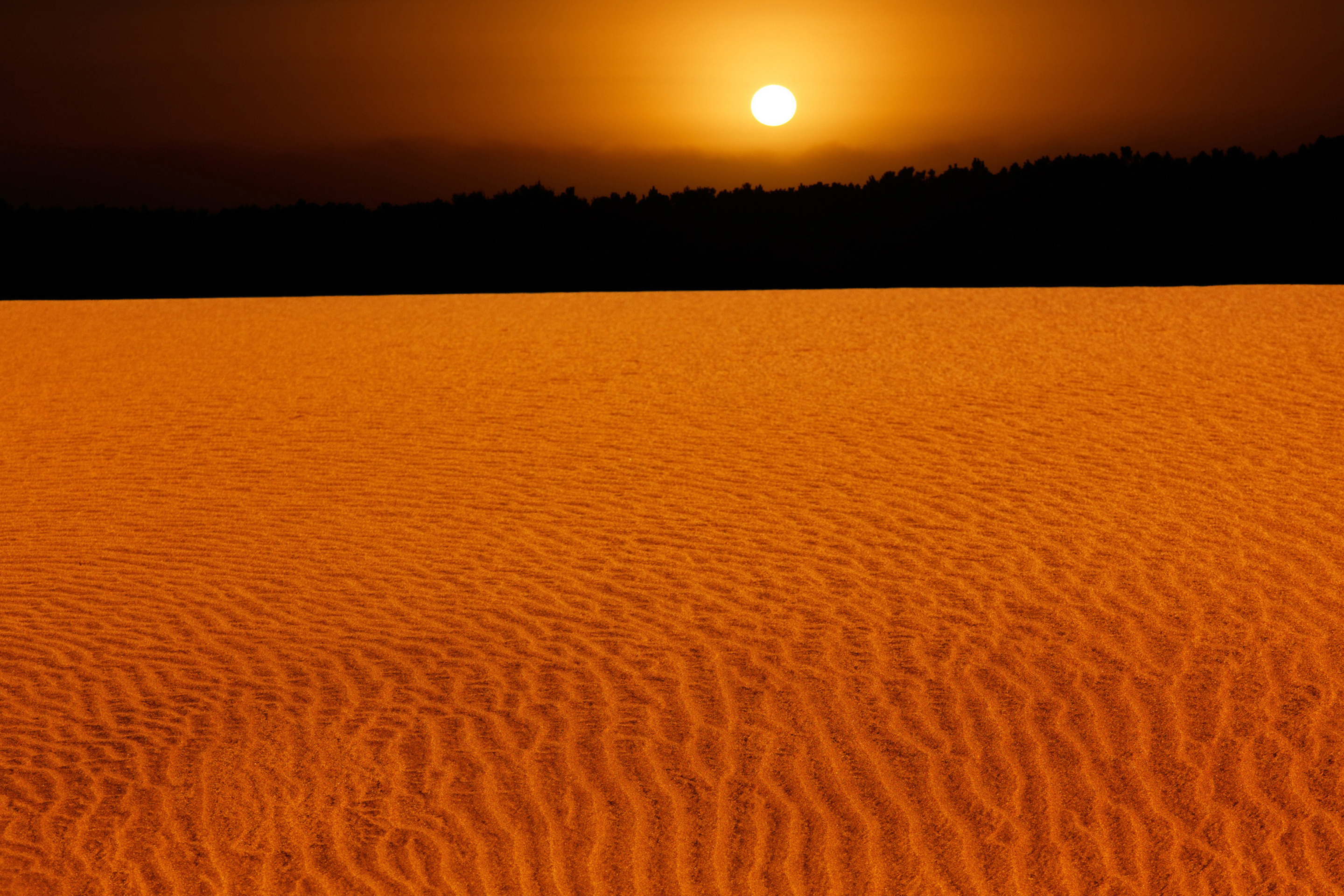 Обои Sand Dunes 2880x1920