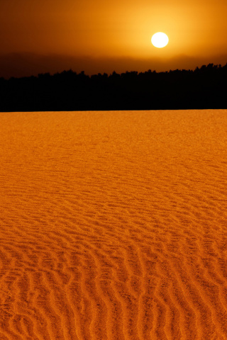 Das Sand Dunes Wallpaper 320x480