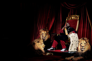 Lebron James With Lions - Obrázkek zdarma pro Nokia XL