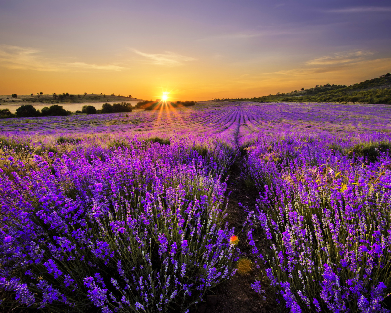 Fondo de pantalla Provence Sunrise 1600x1280