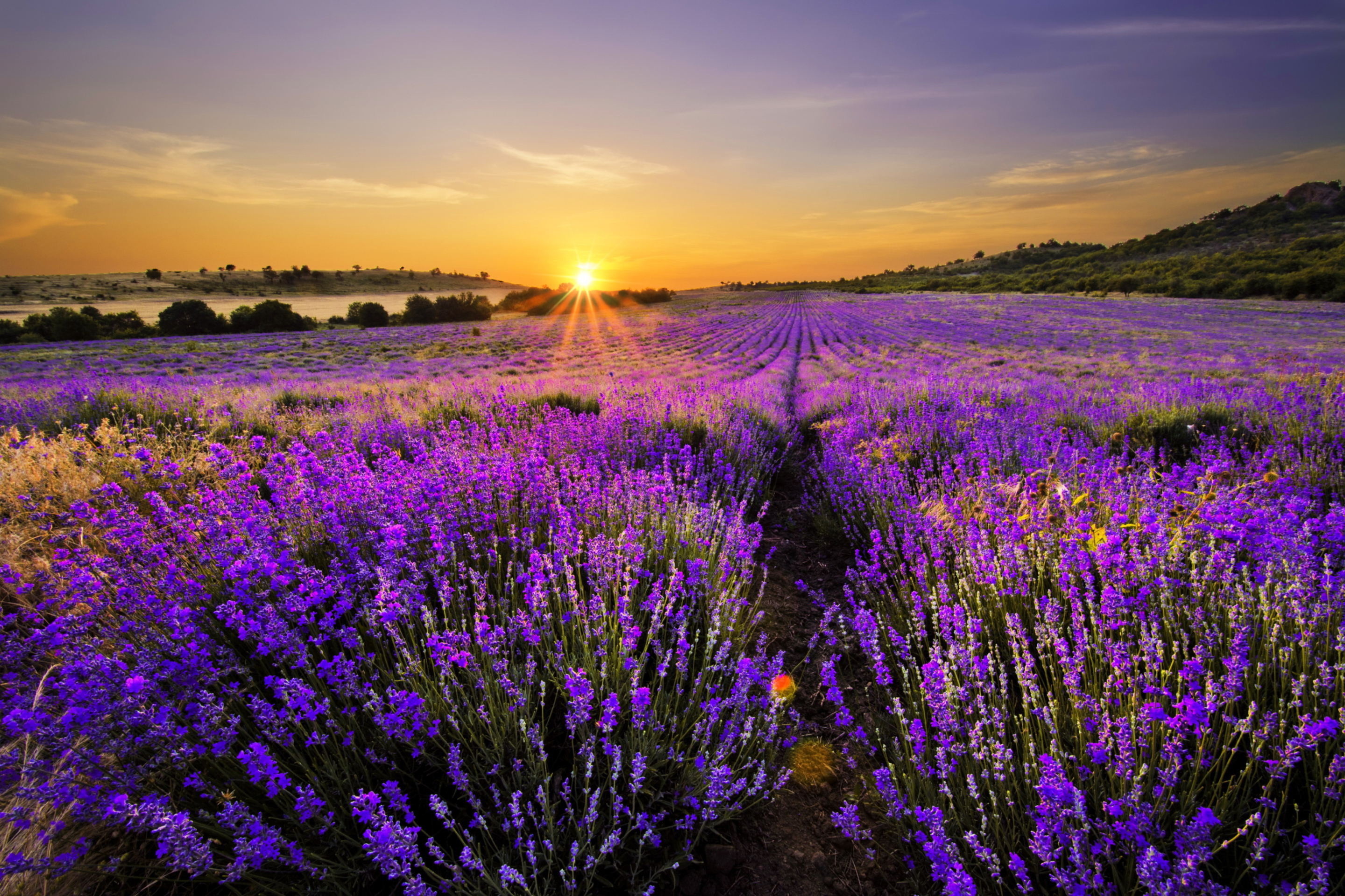 Das Provence Sunrise Wallpaper 2880x1920
