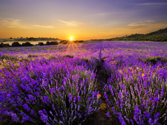 Fondo de pantalla Provence Sunrise 640x480