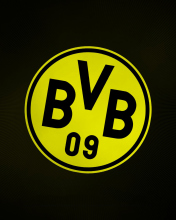 Borussia Dortmund - BVB wallpaper 176x220