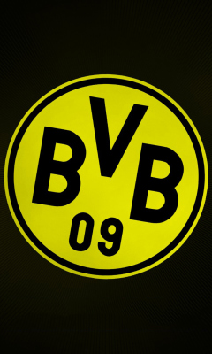 Das Borussia Dortmund - BVB Wallpaper 240x400