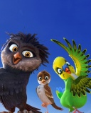 Fondo de pantalla Angry Birds the Movie 128x160