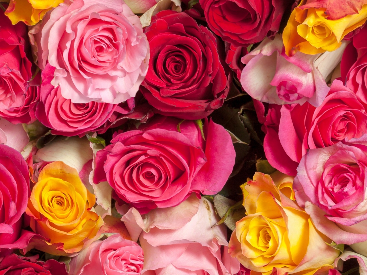 Das Colorful Roses 5k Wallpaper 1280x960