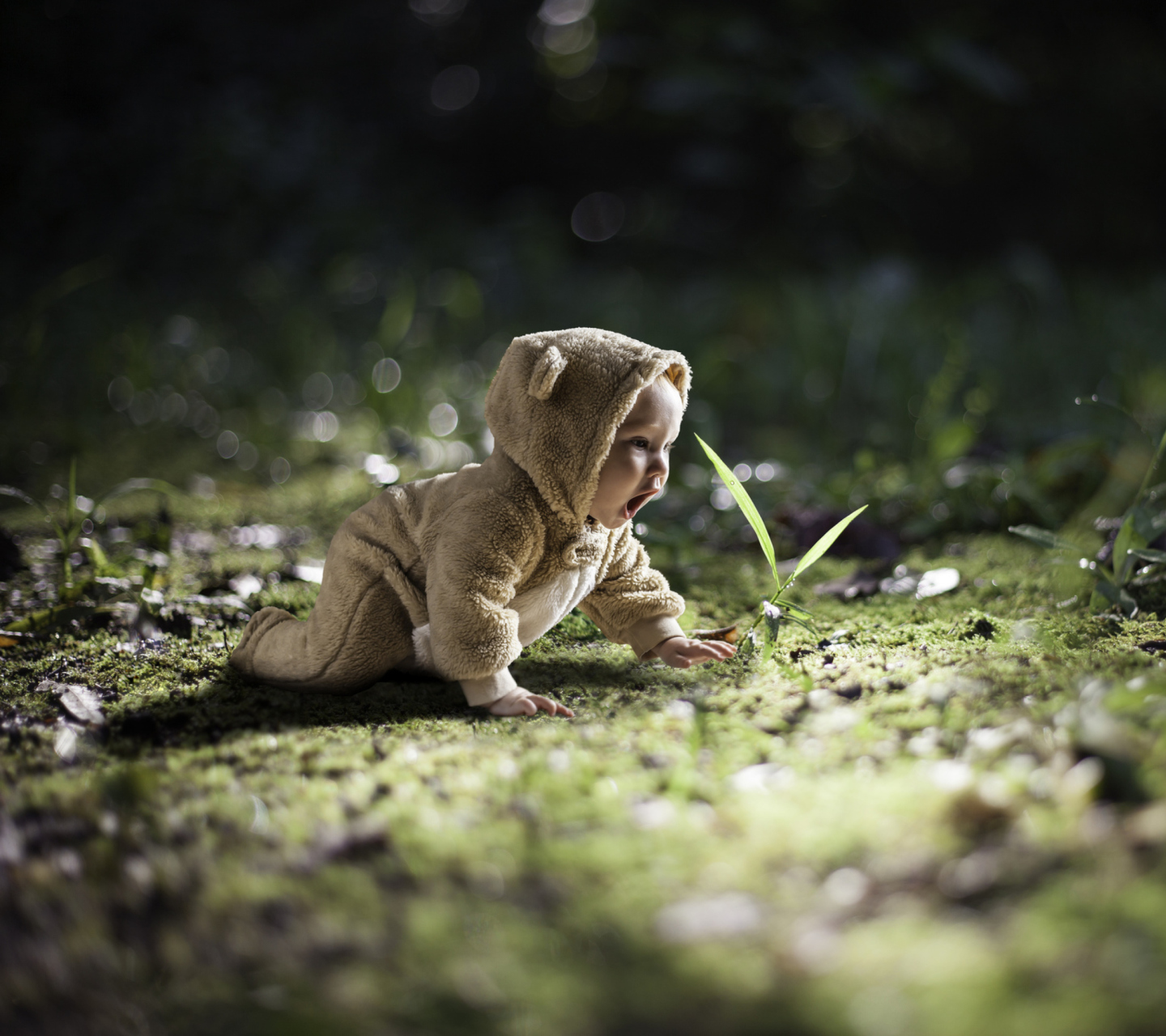 Fondo de pantalla Cute Baby Crawling 1440x1280