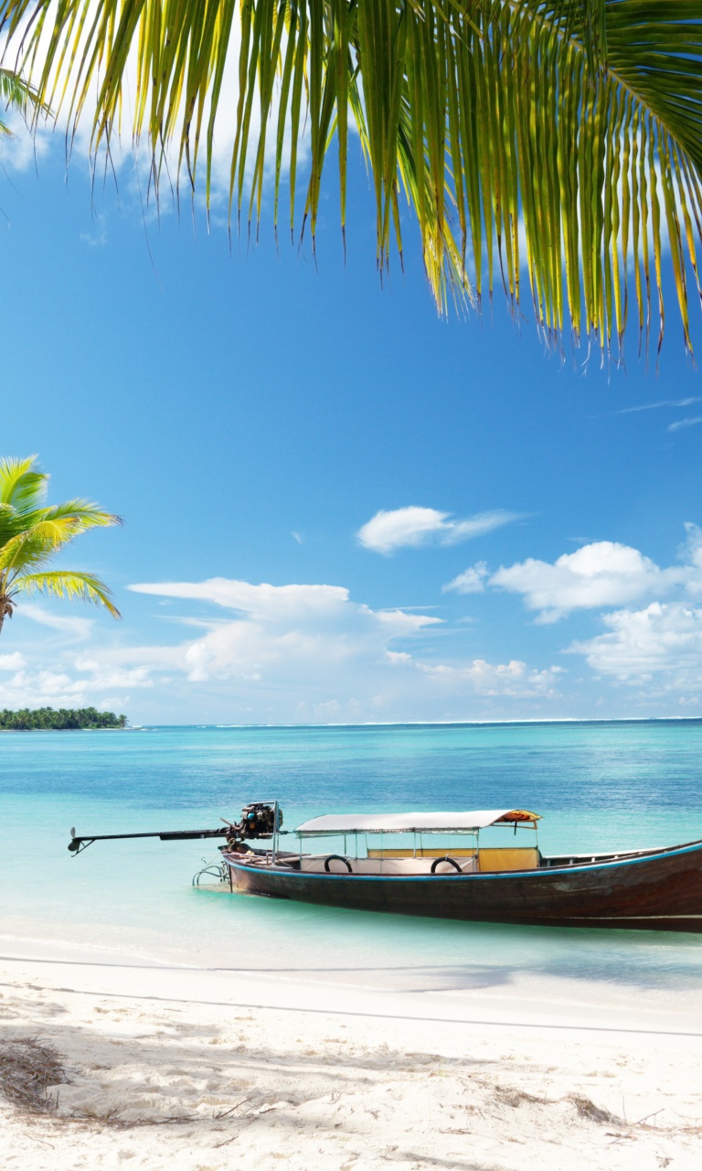 Обои Tulum, Mexico Tropical Beach 768x1280