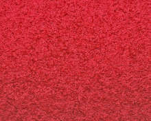 Bright Red Carpet wallpaper 220x176