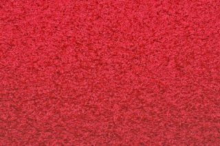 Bright Red Carpet - Obrázkek zdarma 