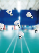 Das Badminton Court Wallpaper 132x176