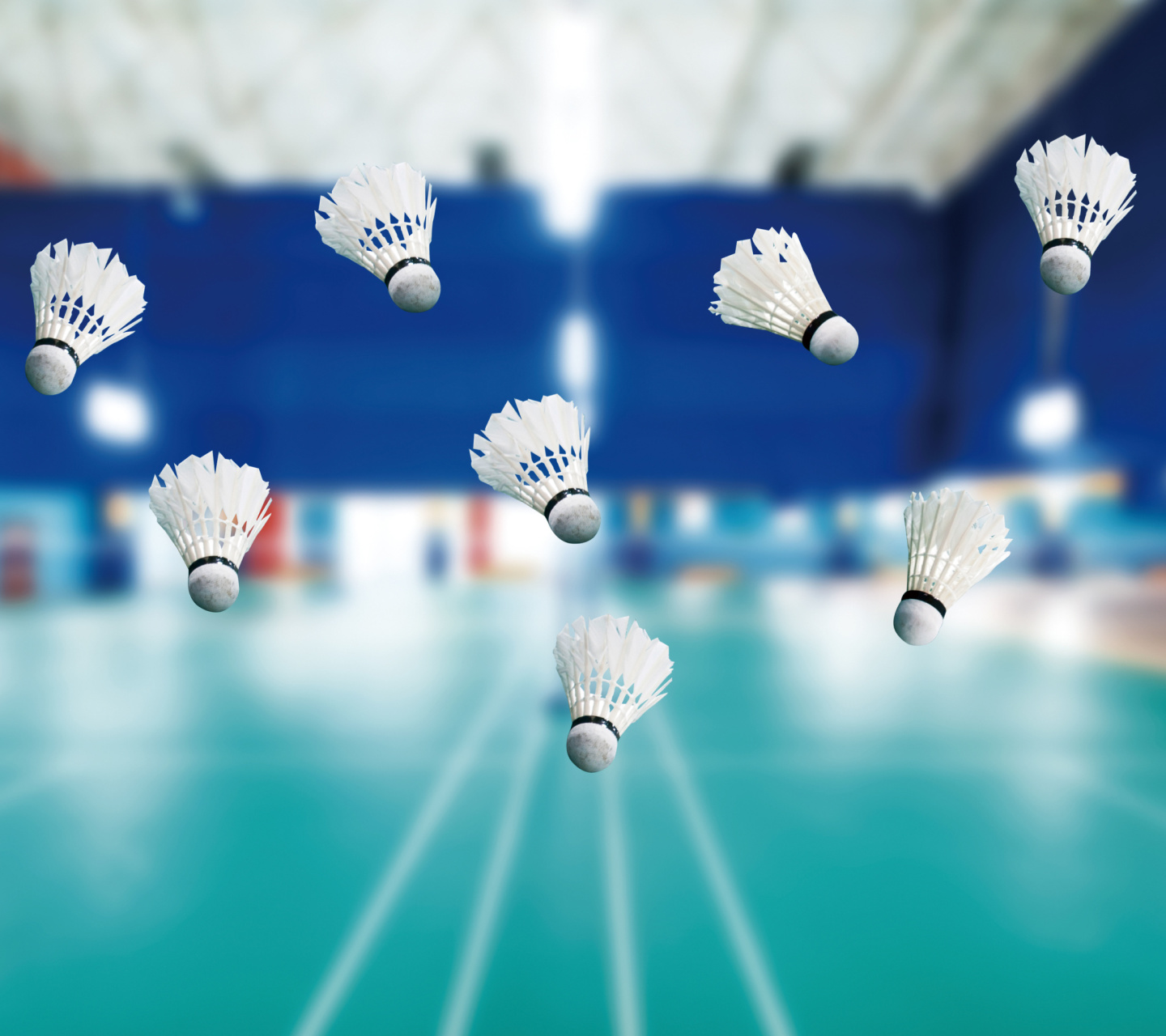 Badminton Court wallpaper 1440x1280