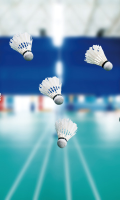 Fondo de pantalla Badminton Court 240x400