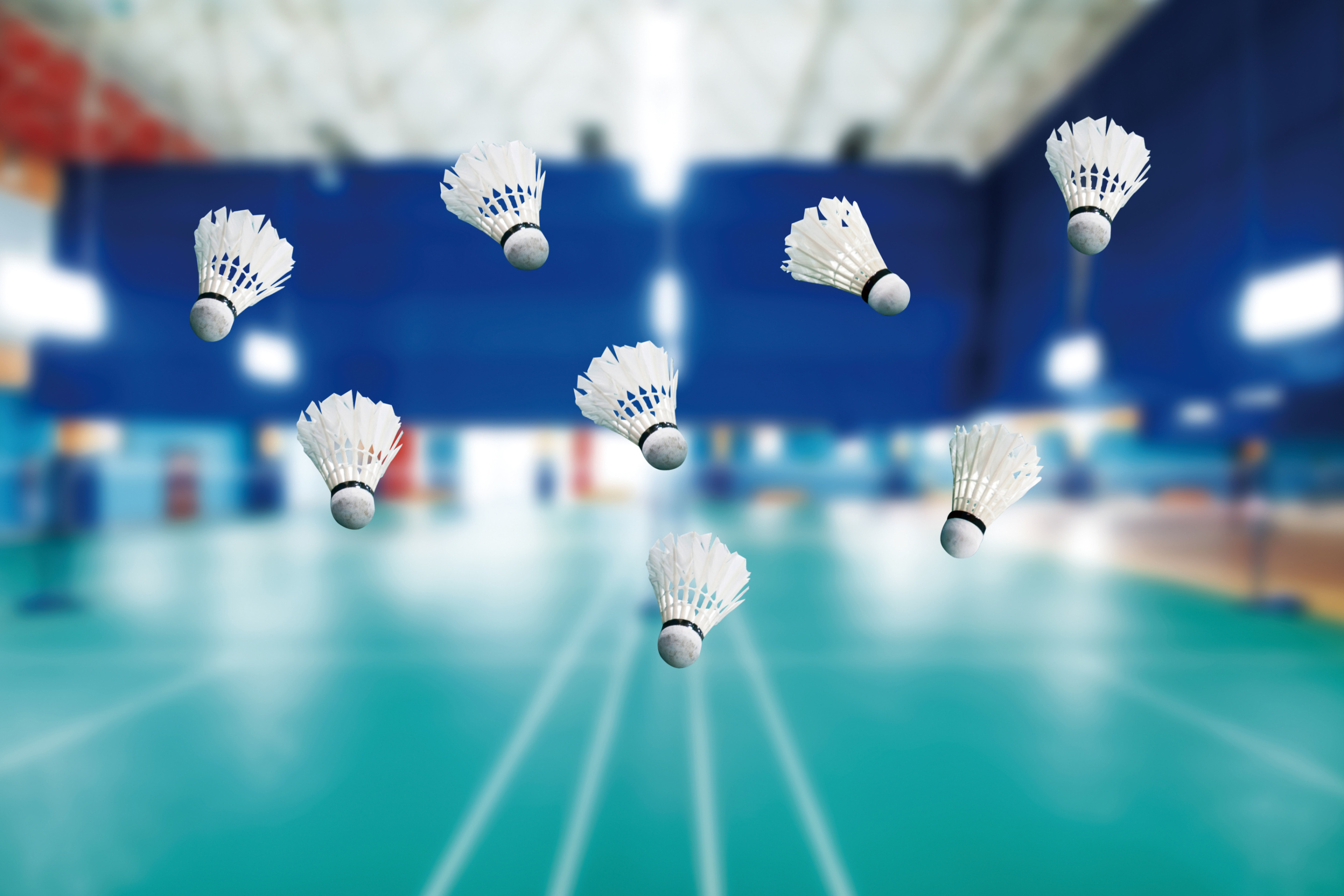 Screenshot №1 pro téma Badminton Court 2880x1920