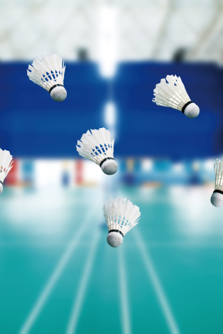 Fondo de pantalla Badminton Court 320x480