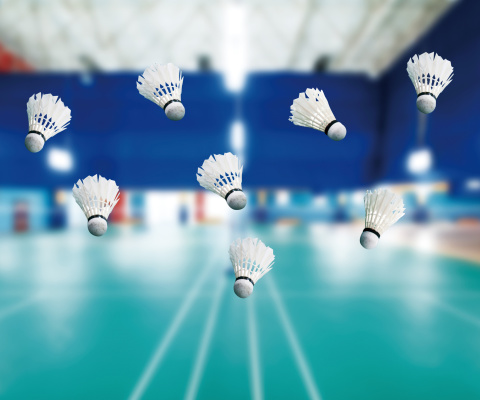 Badminton Court wallpaper 480x400