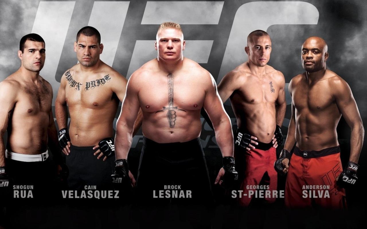Ufc Mma Mixed Fighters wallpaper 1280x800